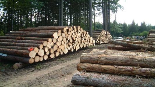 موانع افزایش کیفیت و حفظ بازار رقابت صنایع چوبی برداشته شود