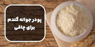 مقدار مصرف روزانه پودر جوانه گندم برای چاقی