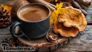 قیمت قهوه گانودرما موکا دکتر بیز