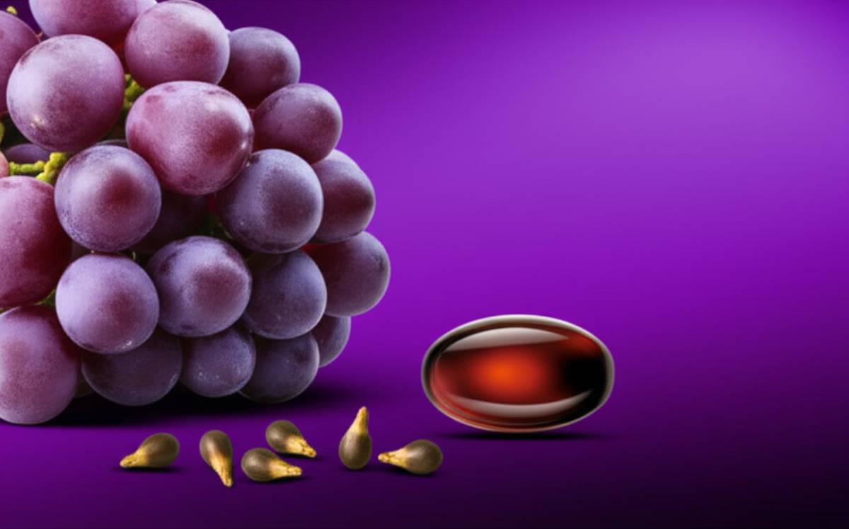 **قرص روکش دار گریپ سید شاری: خواص، فواید و کاربردها**