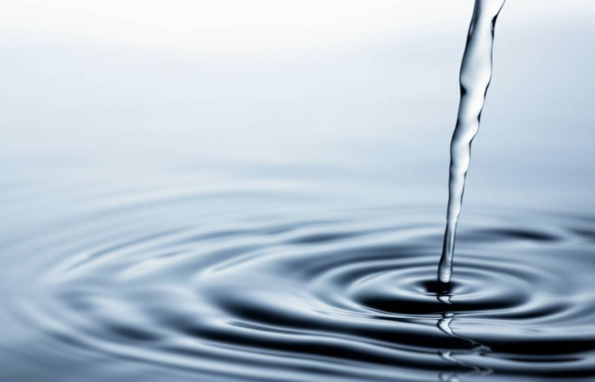 چسب دندان مصنوعی فیکسودنت بدون طعم: ویژگی های کامل