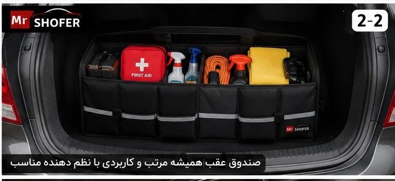 نظم دهنده خودرو